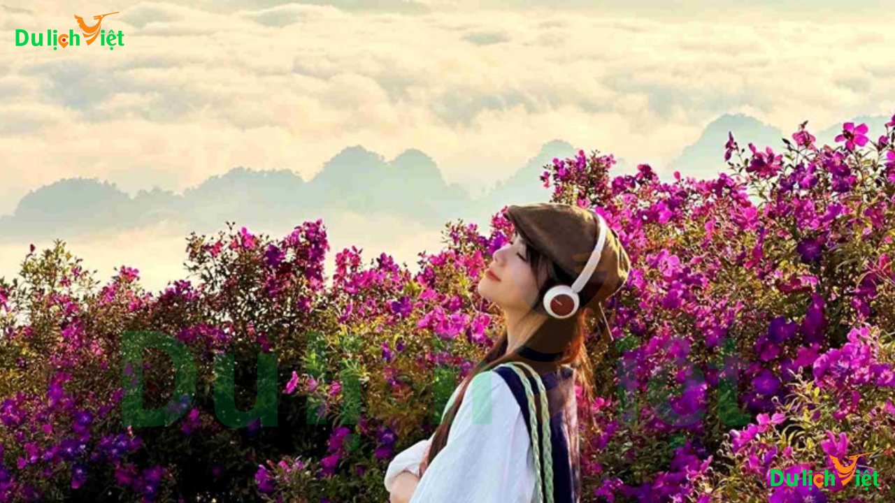 TOP 20 Địa Điểm Du Lịch Sơn La Hấp Dẫn Nhất